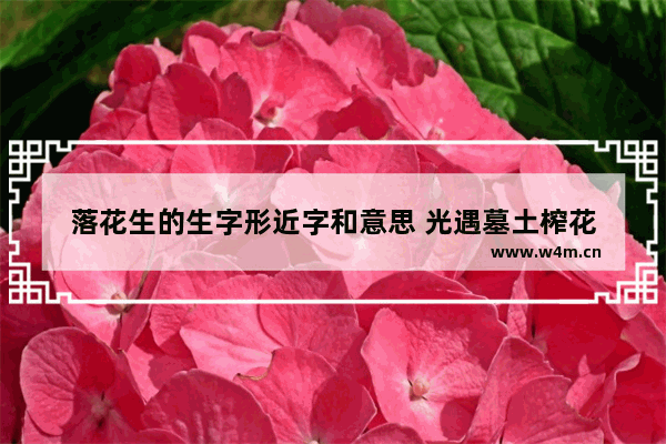 落花生的生字形近字和意思 光遇墓土榨花