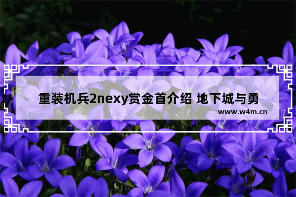 重装机兵2nexy赏金首介绍 地下城与勇士蚂蚁大战