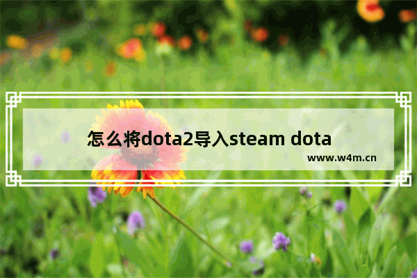 怎么将dota2导入steam dota2连接不上steam怎么办