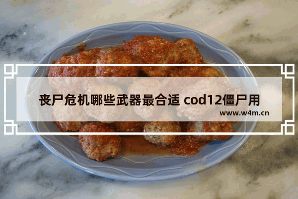 丧尸危机哪些武器最合适 cod12僵尸用什么武器好