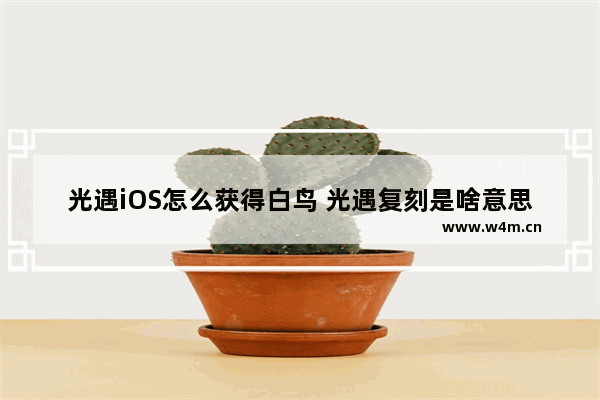 光遇iOS怎么获得白鸟 光遇复刻是啥意思