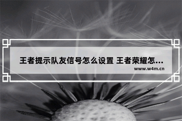 王者提示队友信号怎么设置 王者荣耀怎么发信号