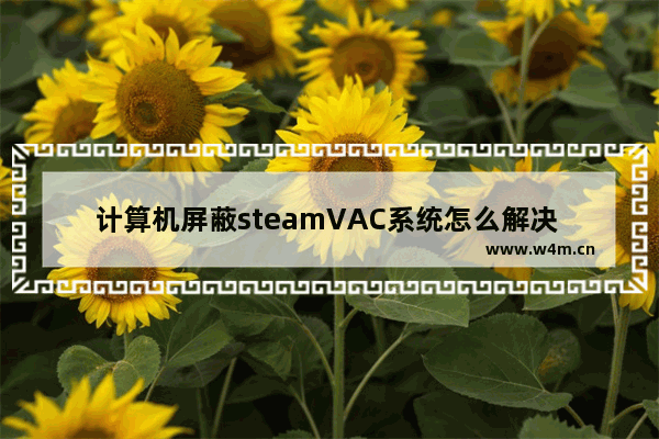 计算机屏蔽steamVAC系统怎么解决 dota2 屏蔽vac