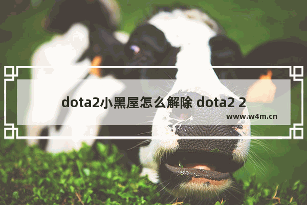 dota2小黑屋怎么解除 dota2 2人黑