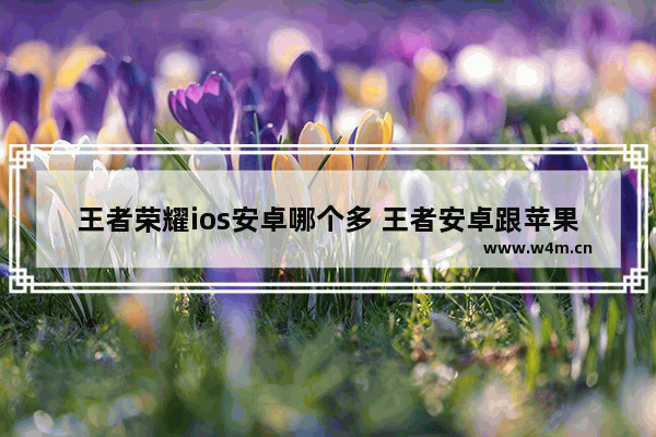 王者荣耀ios安卓哪个多 王者安卓跟苹果版本不一样怎么办