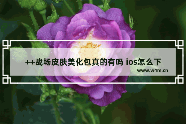 ++战场皮肤美化包真的有吗 ios怎么下载 穿越火线手游版美化包