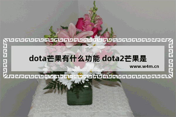 dota芒果有什么功能 dota2芒果是