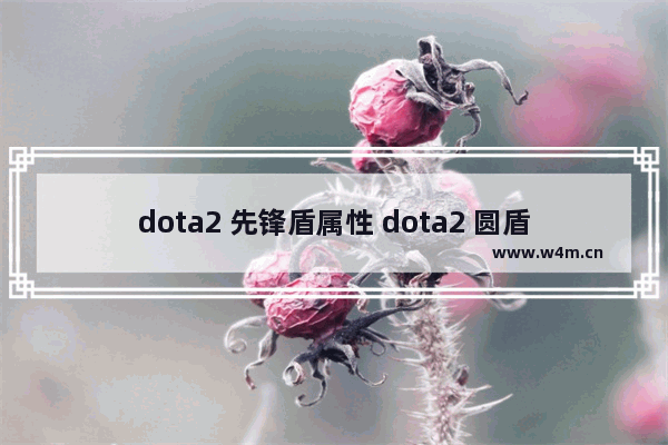 dota2 先锋盾属性 dota2 圆盾