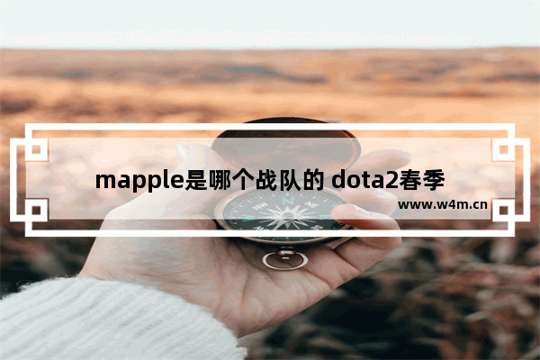 mapple是哪个战队的 dota2春季赛2017