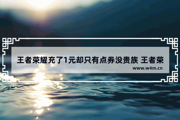 王者荣耀充了1元却只有点券没贵族 王者荣耀充值等级