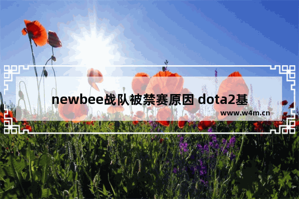 newbee战队被禁赛原因 dota2基辅 预选赛