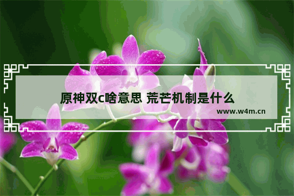 原神双c啥意思 荒芒机制是什么