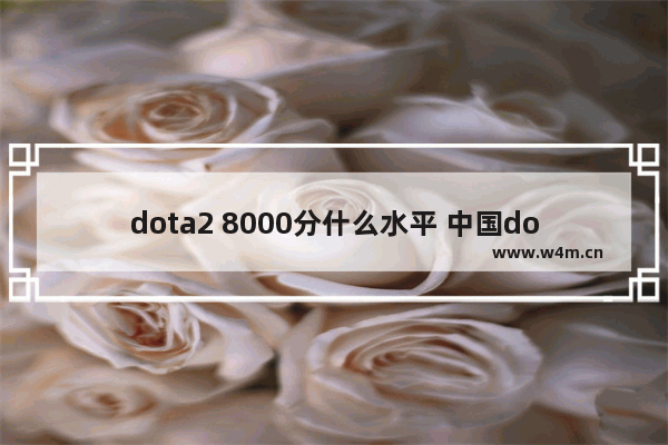 dota2 8000分什么水平 中国dota2什么水平