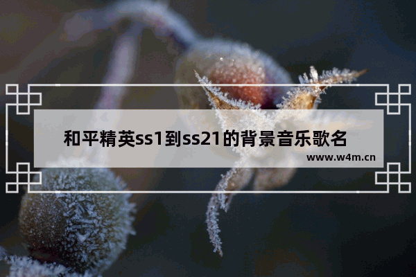 和平精英ss1到ss21的背景音乐歌名 逆战之铁血抗日