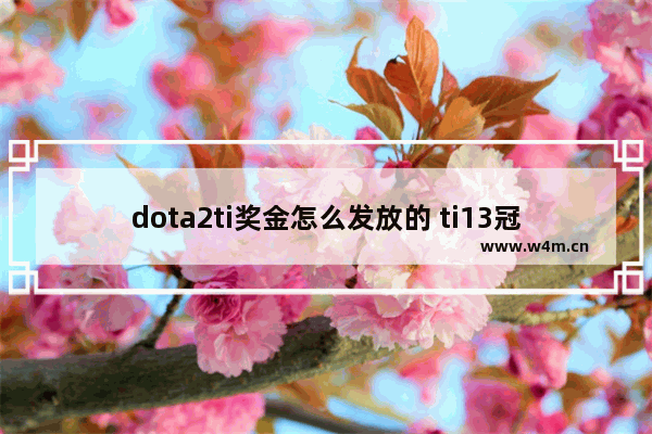 dota2ti奖金怎么发放的 ti13冠军是谁