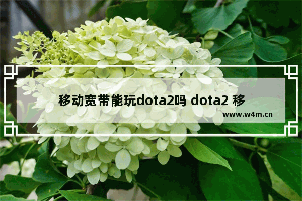 移动宽带能玩dota2吗 dota2 移动速度