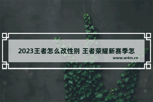 2023王者怎么改性别 王者荣耀新赛季怎么改性别