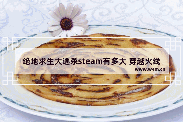 绝地求生大逃杀steam有多大 穿越火线绝地大逃杀