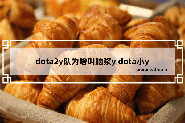 dota2y队为啥叫脑浆y dota小y怎么出装呢