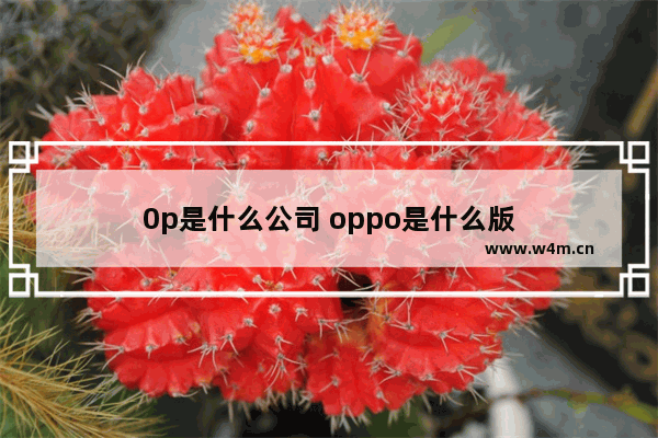 0p是什么公司 oppo是什么版