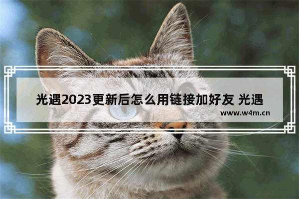 光遇2023更新后怎么用链接加好友 光遇如何加游戏好友