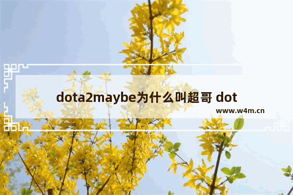 dota2maybe为什么叫超哥 dota虚灵猎手外号