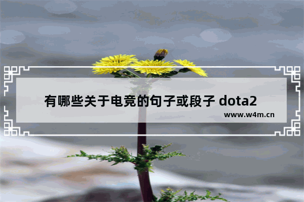 有哪些关于电竞的句子或段子 dota2 段子