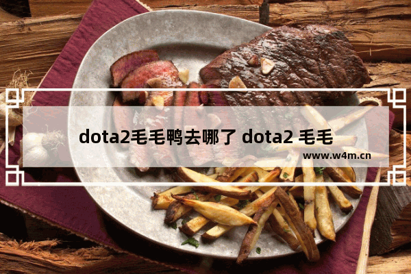 dota2毛毛鸭去哪了 dota2 毛毛