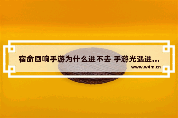 宿命回响手游为什么进不去 手游光遇进不去