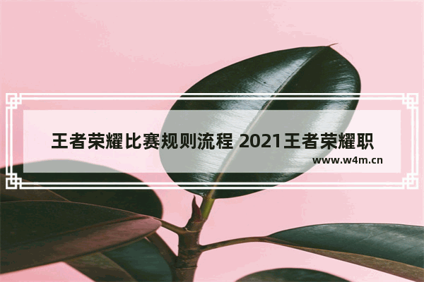 王者荣耀比赛规则流程 2021王者荣耀职业比赛规则