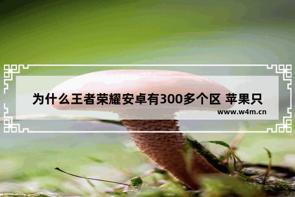 为什么王者荣耀安卓有300多个区 苹果只有100个区 王者荣耀王者有多少