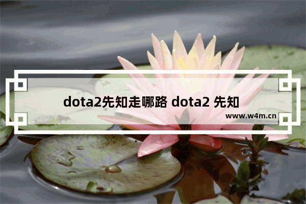 dota2先知走哪路 dota2 先知 打野