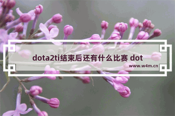 dota2ti结束后还有什么比赛 dota2次联赛