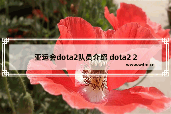 亚运会dota2队员介绍 dota2 2017英雄