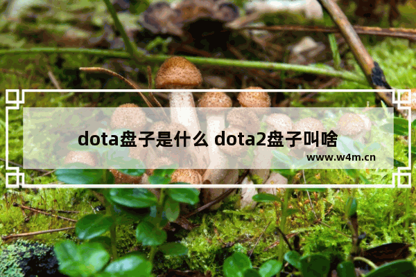 dota盘子是什么 dota2盘子叫啥