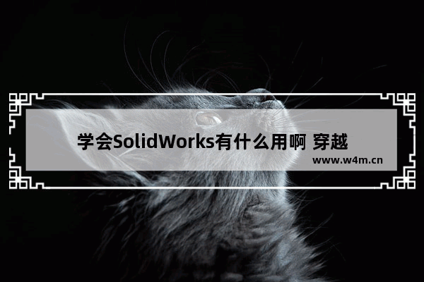 学会SolidWorks有什么用啊 穿越火线精通点有什么用