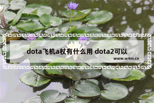 dota飞机a杖有什么用 dota2可以隐身的英雄