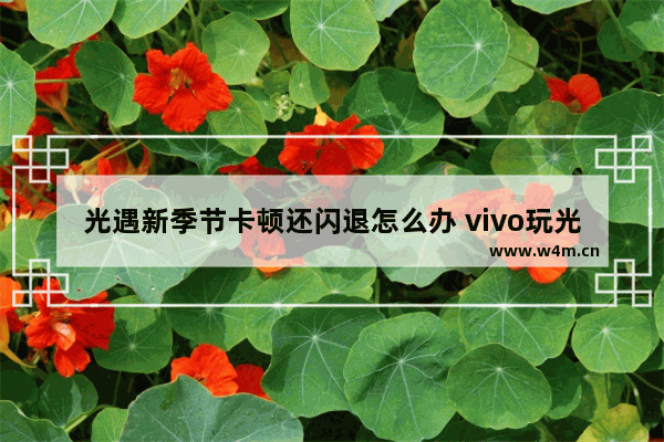 光遇新季节卡顿还闪退怎么办 vivo玩光遇卡顿怎么解决