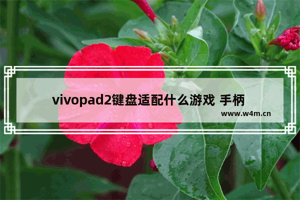 vivopad2键盘适配什么游戏 手柄 dota2