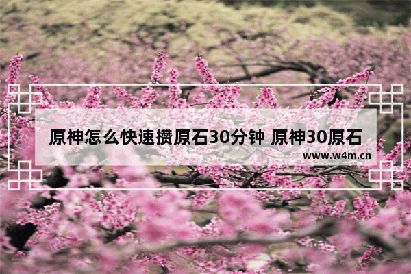 原神怎么快速攒原石30分钟 原神30原石攻略