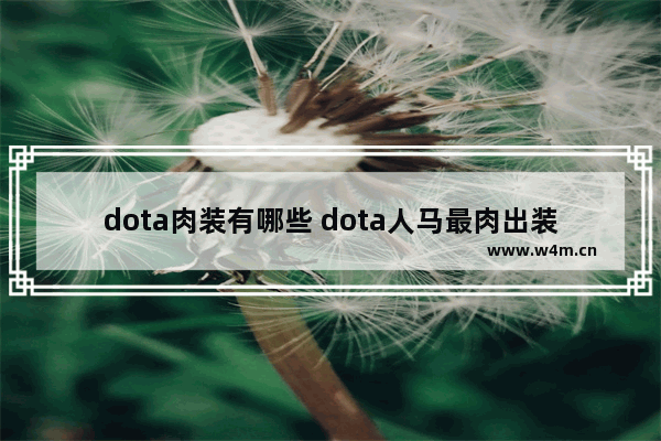 dota肉装有哪些 dota人马最肉出装