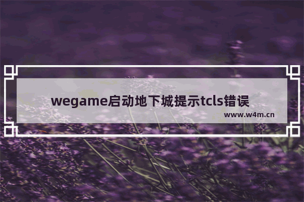 wegame启动地下城提示tcls错误 登录地下城与勇士报错