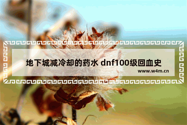 地下城减冷却的药水 dnf100级回血史诗装备