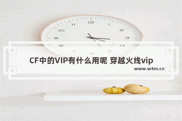 CF中的VIP有什么用呢 穿越火线vip4要多少钱