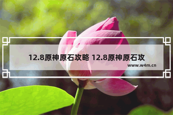 12.8原神原石攻略 12.8原神原石攻略