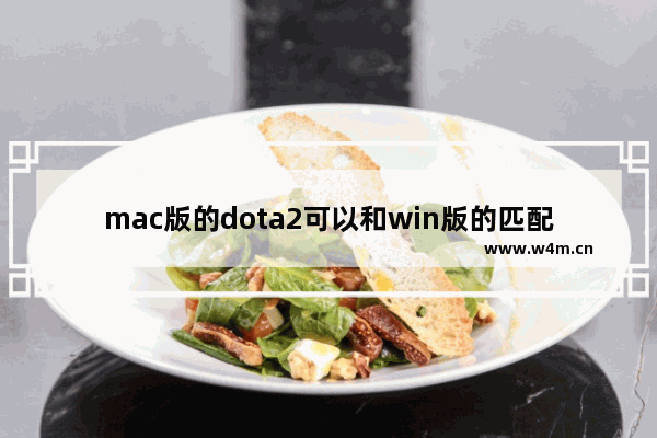 mac版的dota2可以和win版的匹配在一起玩吗 dota2外服怎样弄