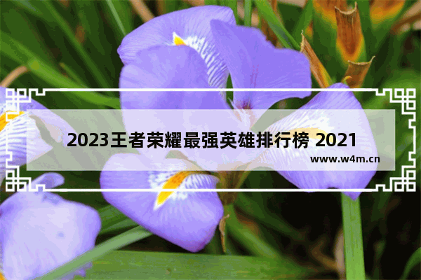 2023王者荣耀最强英雄排行榜 2021王者荣耀kpl射手排行榜