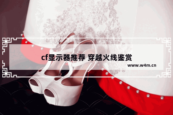 cf显示器推荐 穿越火线鉴赏