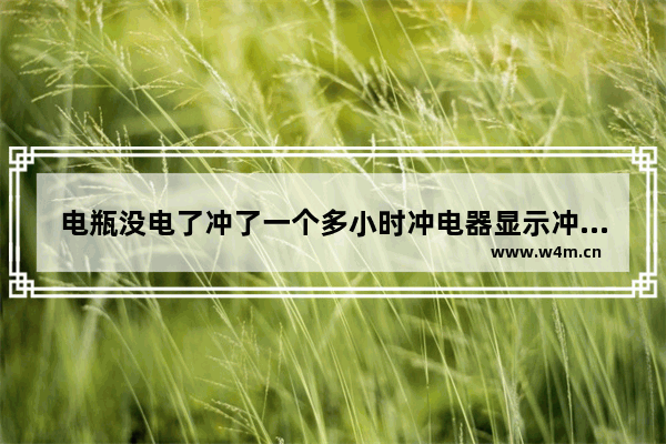 电瓶没电了冲了一个多小时冲电器显示冲满.这是什么原因 穿越火线撑满