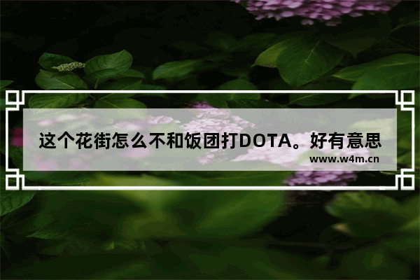 这个花街怎么不和饭团打DOTA。好有意思 饭团 dota2